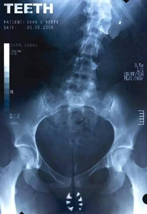 TaiPoutiniPolytechnic学信网认证办理